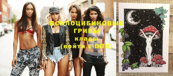 2c-b Богородицк