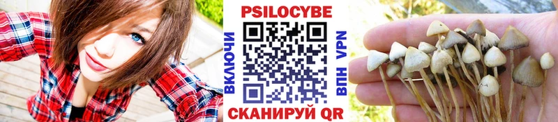 Купить где Вязники Псилоцибиновые грибы MAGIC MUSHROOMS